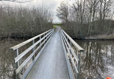 Percorso Marcia Sluis - Retranchement Cadzand 16,7 km - Photo