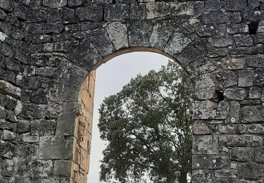 Tocht Stappen Allègre-les-Fumades - Château d'Allègre depuis la Bégude - Photo