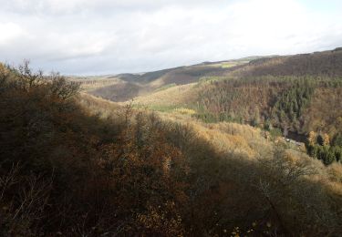 Trail Walking Bouillon - Rochehaut 191120 - Photo