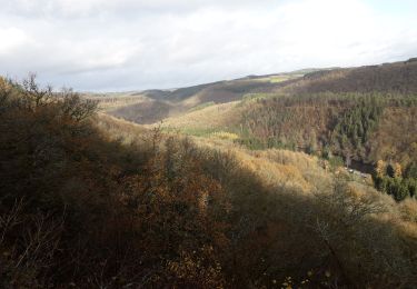 Tour Wandern Bouillon - Rochehaut 191120 - Photo