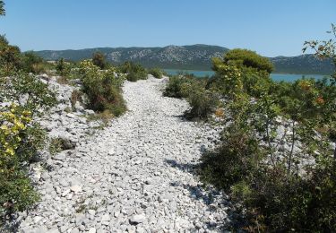 Percorso A piedi  - Poučna botanička staza - Photo