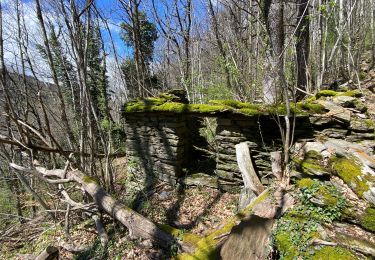 Trail Walking Florac Trois Rivières - Saint julien d’Arpaon - Photo