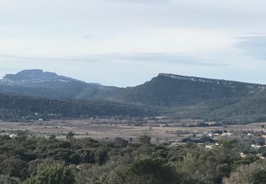 Randonnée Marche Claret - Les crêtes de la taillade - Photo