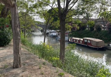 Percorso Marcia Poilhes - Berges du canal du midi à Poilhes - Photo