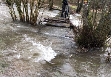 Tocht Mountainbike Manhay - Rando les éoliennes  - Photo