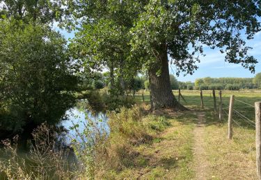 Trail Walking Galmaarden - Tollembeek 18 km - Photo