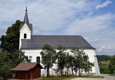 Excursión A pie okres Považská Bystrica - SK-Local marking made by village Slopna. There are guidepost with defined color for paths, but without physical marking. There are no guideposts outside the Slopna territory even if the path is ending elsewhere. - Photo