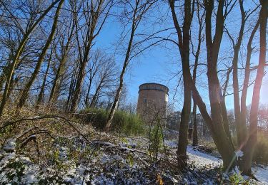 Tour Wandern Belœil - stambrugges - Photo