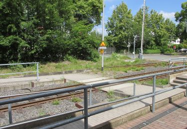 Tocht Te voet Bad Arolsen - Bad Arolsen Engelweg - Photo