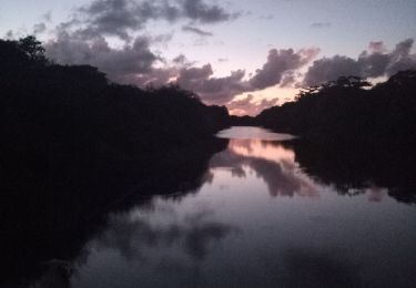 Tocht Stappen Le Moule - Tour du réservoir de Letaye - Photo