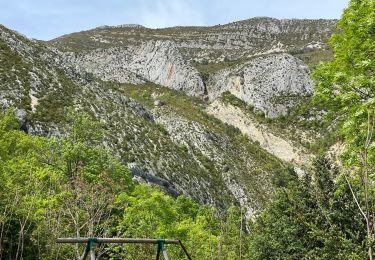 Trail Walking Castellane - Chasteuil - Cadières de Brandis - Photo