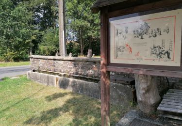 Excursión Senderismo Léglise - Bois d'Ospau et balade du Polissoir - Photo