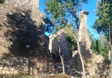 Tocht Stappen Les Arcs-sur-Argens - fond du broc. Roseline  - Photo