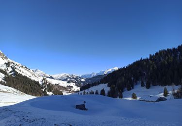 Percorso Racchette da neve La Giettaz - 30-12-24 raquettes Col aravis - Photo