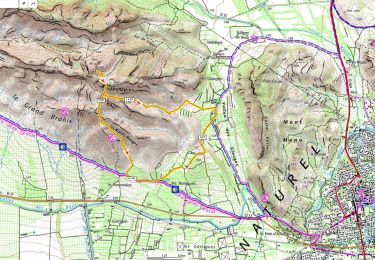 Trail Walking Eyguières - Les Opies 479m D+360m - Photo