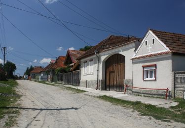 Tour Zu Fuß Unbekannt - Cârțișoara - Cabana Vama Cucului - Cabana Bâlea Cascadă - Photo