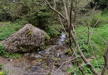 Percorso Marcia Bernex - Boucle depuis Pre Richard.. - Photo