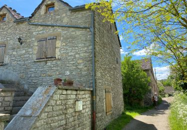 Trail Walking Hures-la-Parade - 21 06 06 les trois hameaux Hures  - Photo