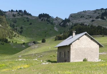 Trail Walking Châtillon-en-Diois - Vallon de Combau - Pas de l'Aiguille - Photo