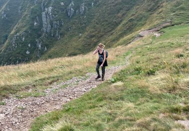 Percorso sport Le Valtin - Sentier des roches frankenthal col de la schlucht - Photo