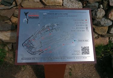 Trail On foot Santa Coloma de Gramenet - SL-C 141 De Torribera al Puig Castellar - Photo