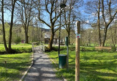 Randonnée Marche Martelange - Martelange forêt et Sûre 22,1 km - Photo
