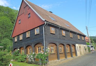 Trail On foot Großschönau - LG-Grüner Strich - Großschönau - Lausche - Photo