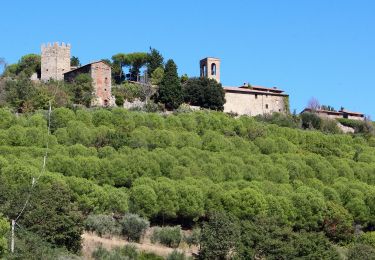 Trail On foot Panicale - Mongiovino - Buca Calcinaro - Photo