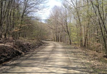 Tour Zu Fuß  - Planinska kuća Tivanovo - Pjeskovi - Photo