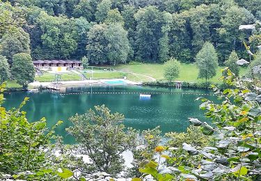 Percorso A piedi Daun - HeimatSpur Großer Dauner - Photo