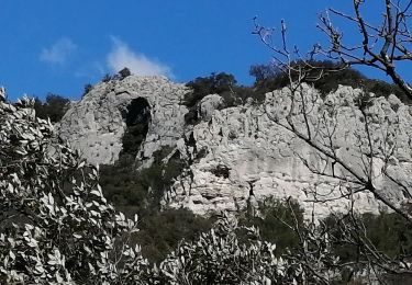 Percorso Marcia Allègre-les-Fumades - château d allègre aiguieres - Photo