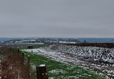 Tour Wandern Bouillon - Cornimont 240123 - Photo