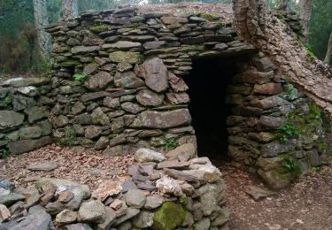 Trail Walking Argelès-sur-Mer - Boucle Valmy / Dolmens / Chapelle Saint Laurent  - Photo