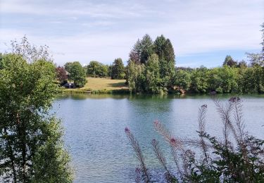 Percorso Marcia Waimes - Au fil des rives du Lac   - Photo