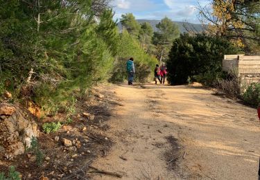 Randonnée Marche Le Castellet - Le vallon des martyr  - Photo