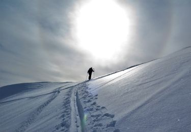 Tour Skiwanderen La Léchère - Col de Montartier à Ski - Photo