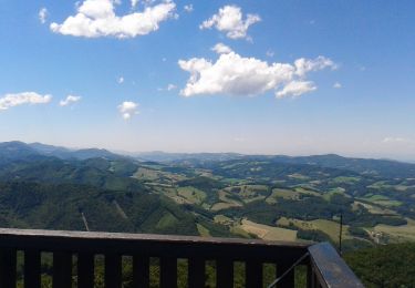 Tocht Te voet Gemeinde Altenmarkt an der Triesting - Thenneberg (Dornau) - Hocheck Schutzhaus - Photo