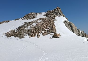 Trail Walking Chamonix-Mont-Blanc - aiguille petite fourche et blanche  - Photo