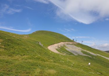 Tour Wandern Albepierre-Bredons - Le Plomb du Cantal - Photo