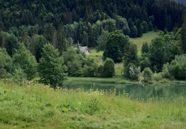 Trail Walking Bellevaux - le Lac de Vallon - Photo