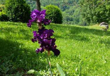 Randonnée Marche Cognin-les-Gorges - gerlette abs - Photo