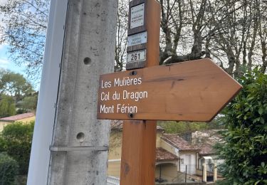 Trail Walking Levens - Mont Ferion 2 fait - Photo