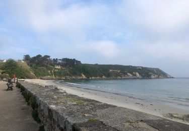 Tocht Stappen Camaret-sur-Mer - Camaret Pen-Hir - Photo