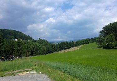 Trail On foot Rohrbach an der Lafnitz - Wanderweg 9 - Photo