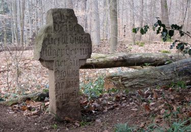 Tour Zu Fuß Bergisch Gladbach - BASt Rundweg A2 - Photo