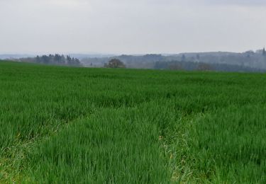Trail Walking Anhée - campagne Denee - Photo