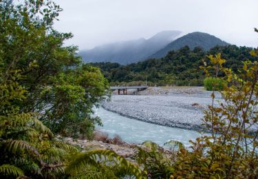 Tour Zu Fuß  - Te Ara A Waiau - Photo