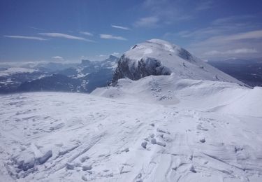 Excursión Esquí de fondo Corrençon-en-Vercors - tête chaudière et petite moucherolle - Photo