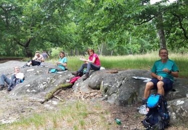 Randonnée Marche Fontainebleau - Rando Fontainebleau mare aux fées 18km - Photo