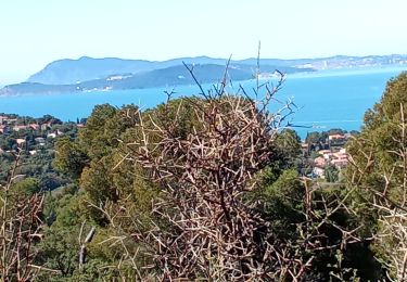 Randonnée Marche Carqueiranne - 2 forts-la Colle noire-Le Pradon - Photo